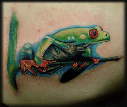 Angel Caban - TREE FROG